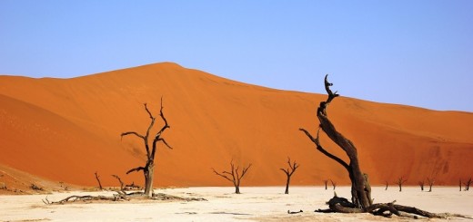 Namibia, deserto Deadvlei