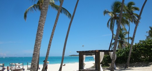 Repubblica Dominicana, spiaggia e palme