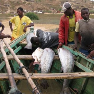 Angola, pescatori