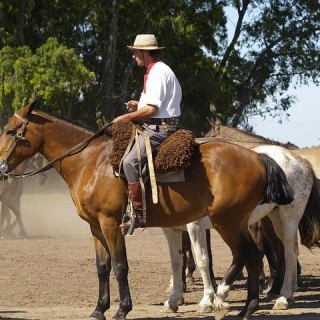 Argentina, gaucho