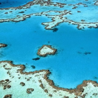 Australia, Grande Barriera Corallina