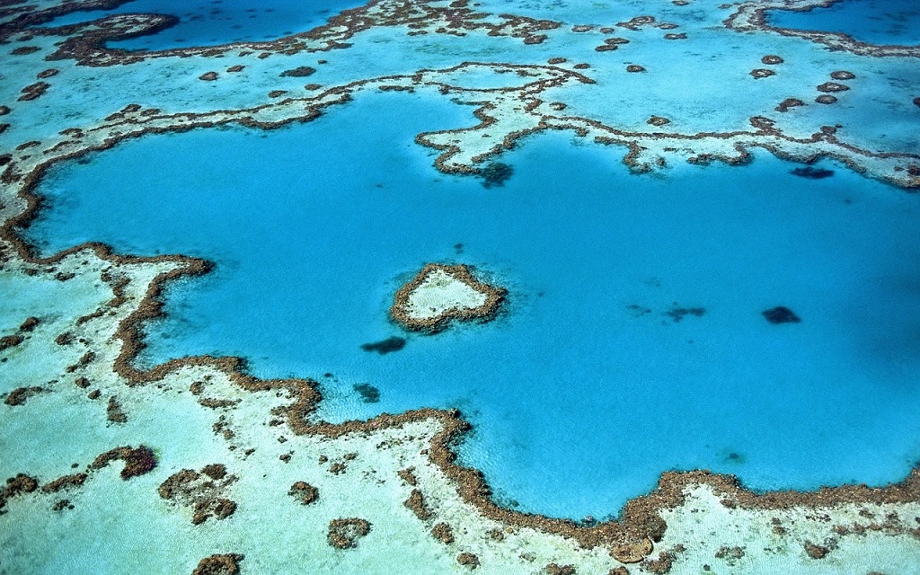 Un viaggio di nozze nel Mar dei Coralli in Australia 