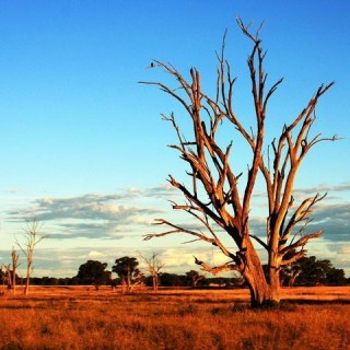 Australia, outback