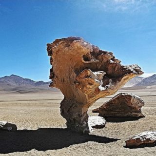 Bolivia, albero di pietra