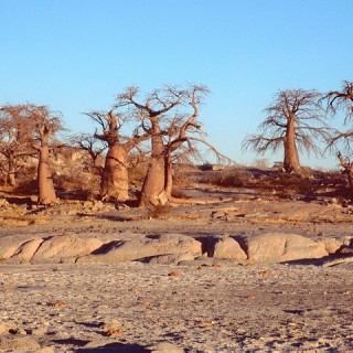 Botswana by patrikmloeff Botswana 2004 via photopin (license)
