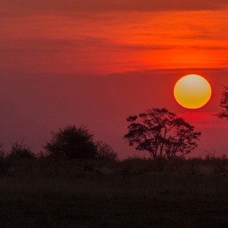 Botswana, savana al tramonto