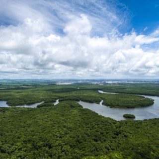 Brasile, Amazzonia