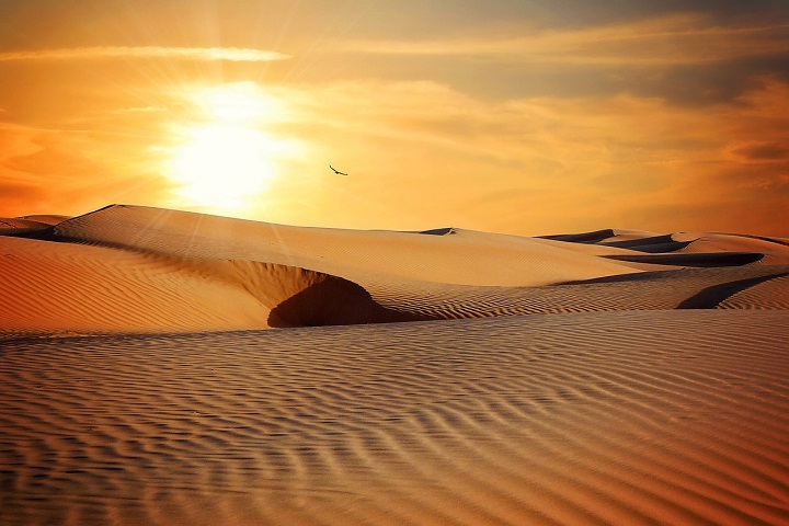 Deserto