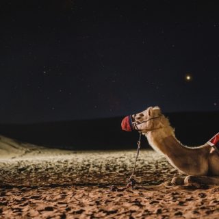 Dubai, deserto di notte