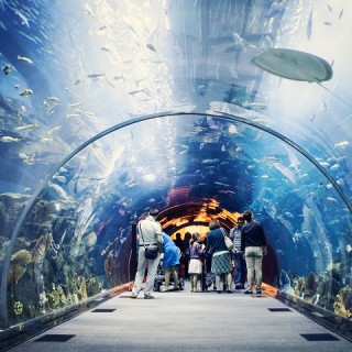 Dubai, Mall Aquarium