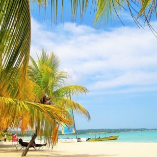 Giamaica, palme e spiaggia
