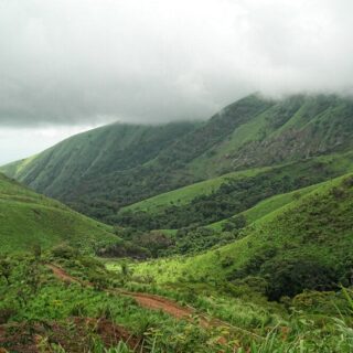 Guinea, monti Nimba
