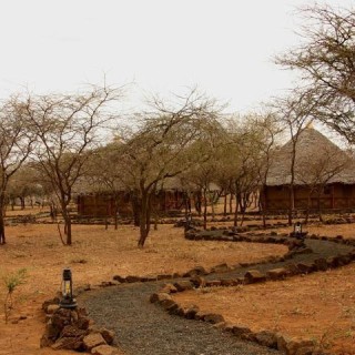 Kenya, safari