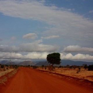 Kenya, savana