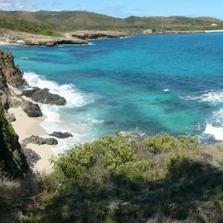 Martinica, Caraibi