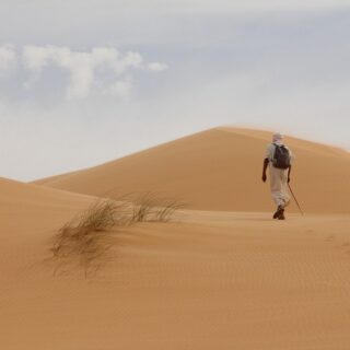Mauritania, deserto