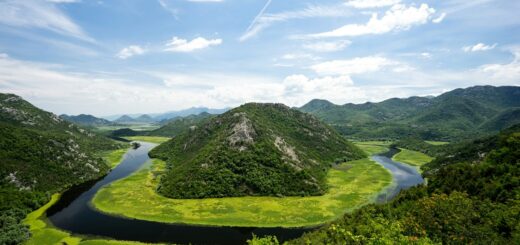 Montenegro, lago Skadar o Scutari