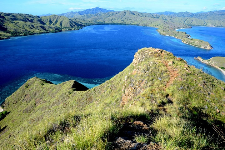 Parco Nazionale di Komodo