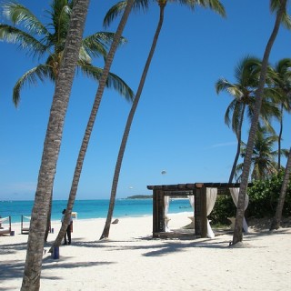 Repubblica Dominicana, spiaggia e palme