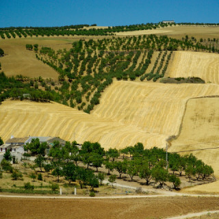 Spagna, Andalusia