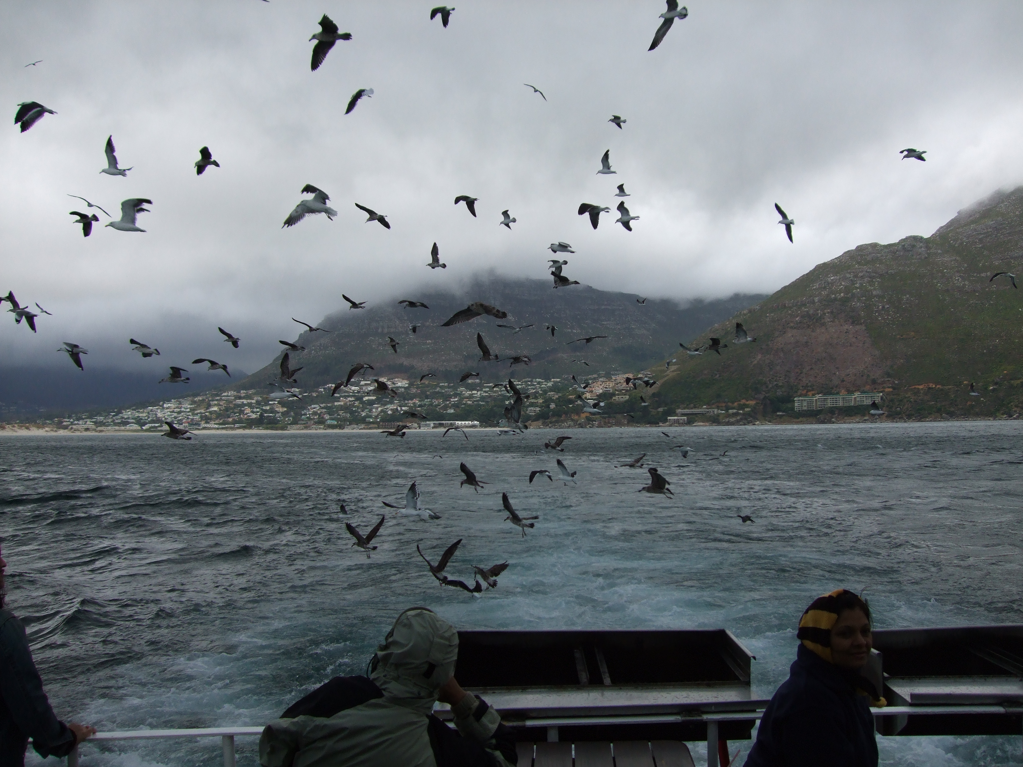 Cape Peninsula National Park