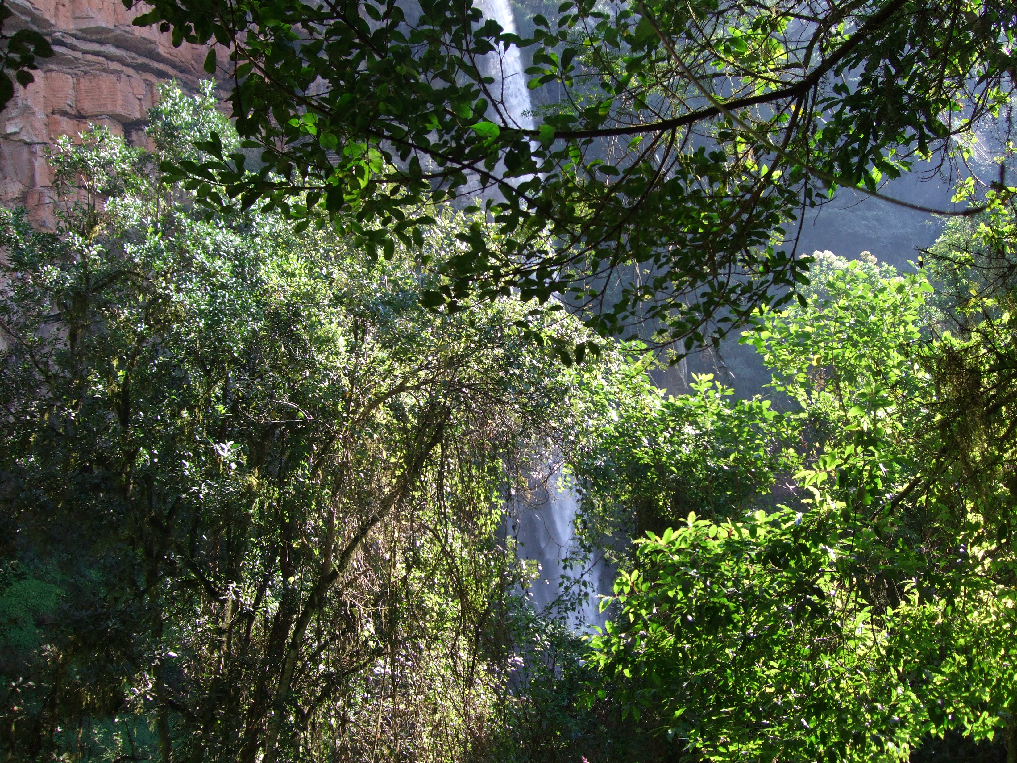 Lone Creek Falls