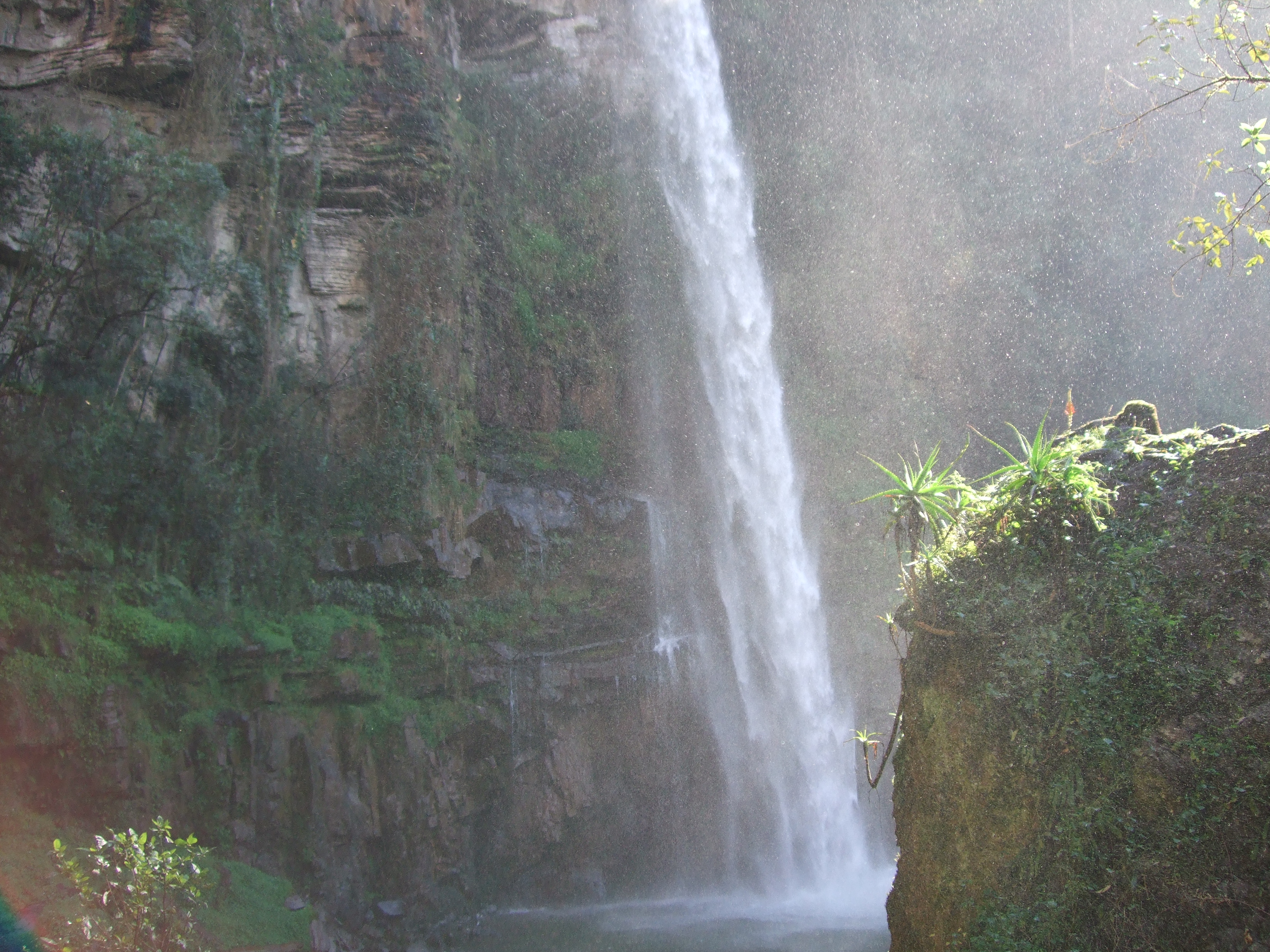 Lone Creek Falls