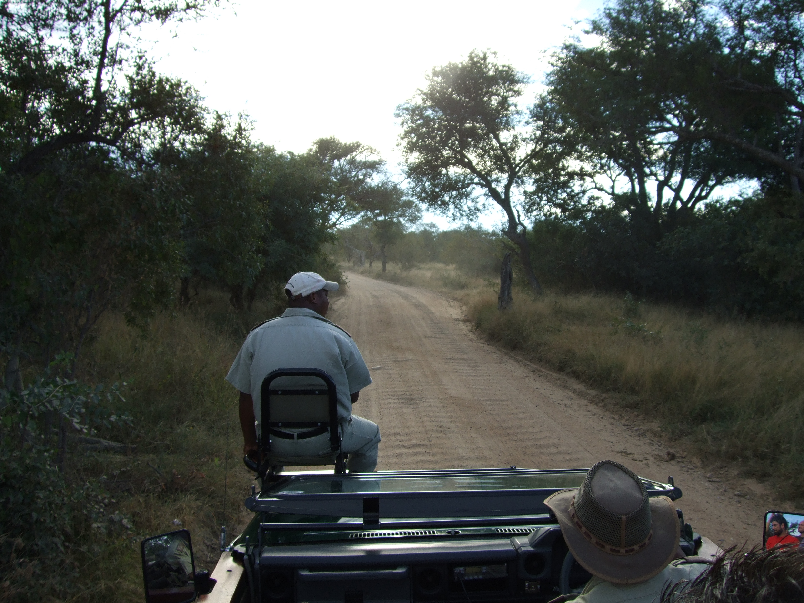 Parco Kruger, safari