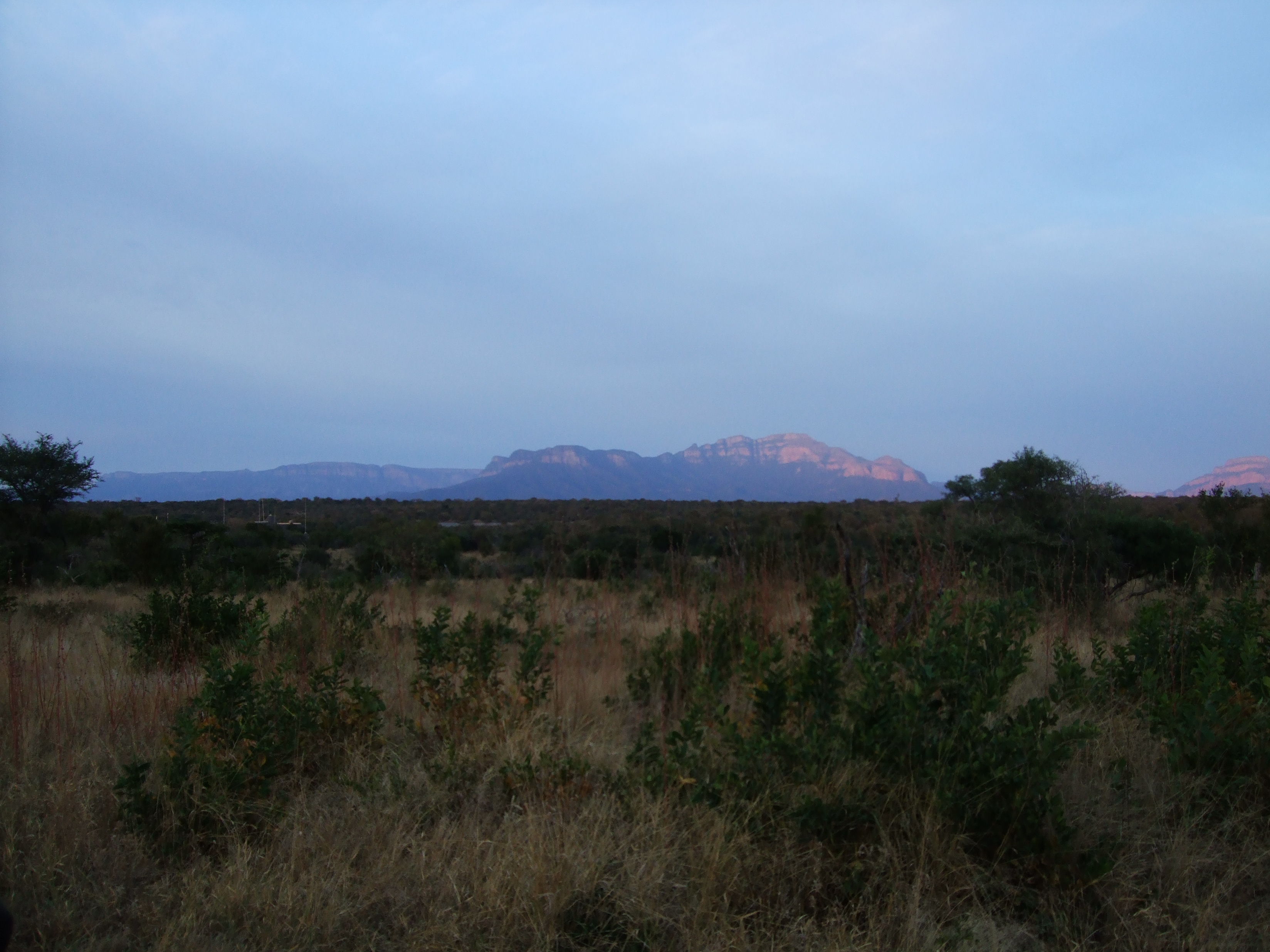 Parco Kruger, safari