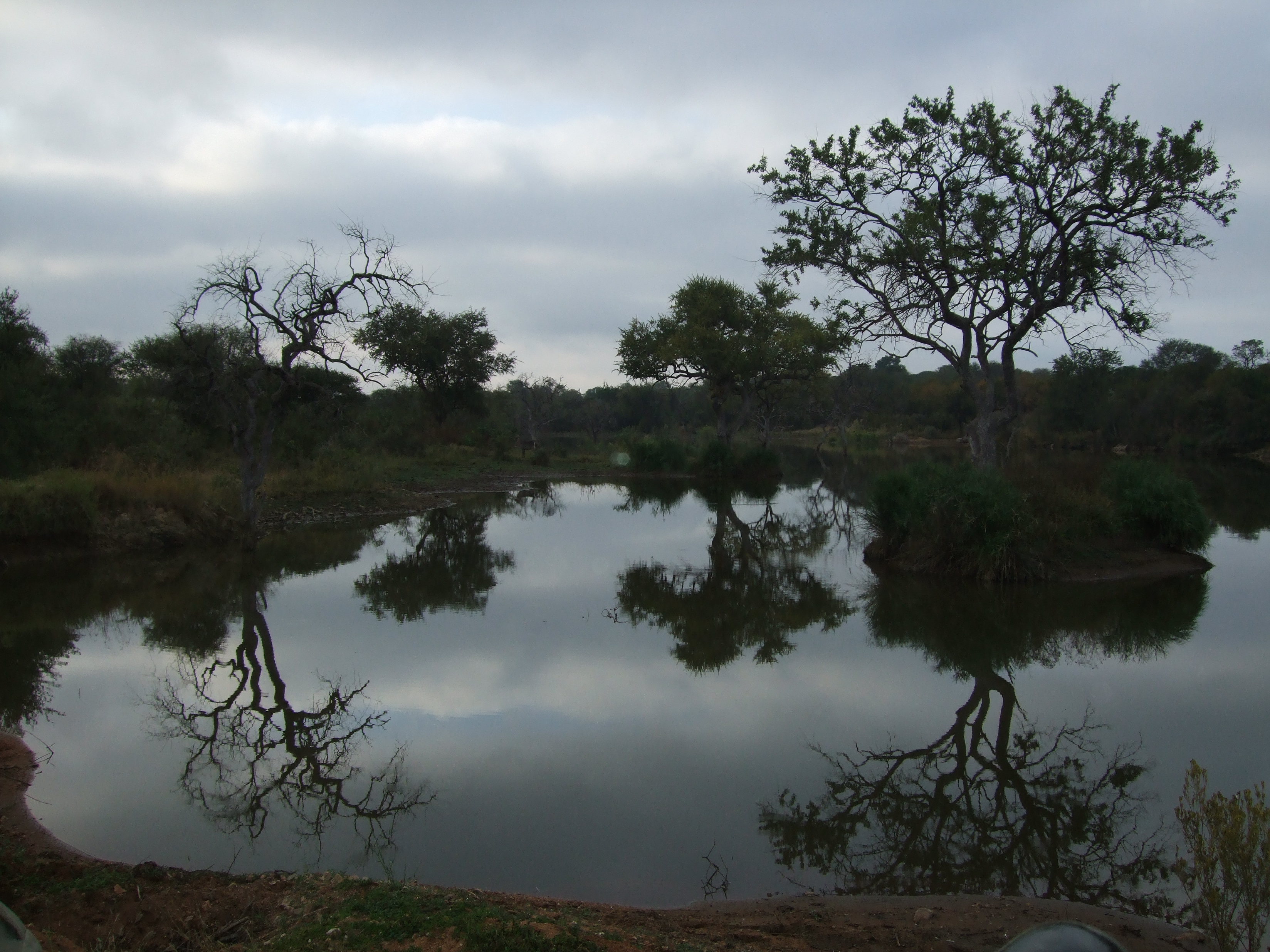 Parco Kruger
