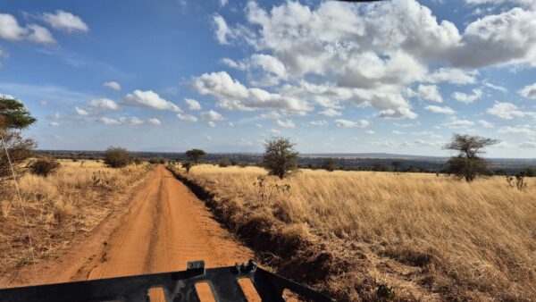 Le distanze nel safari in Tanzania