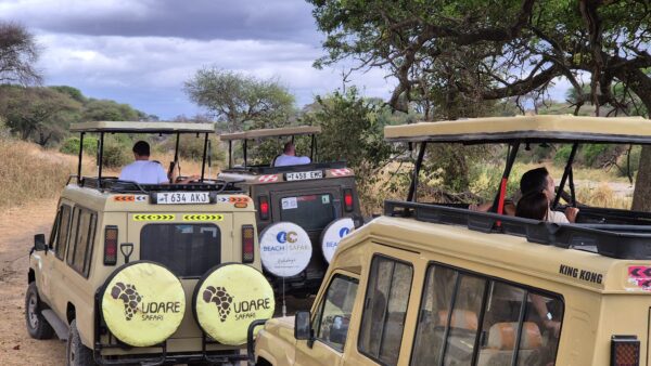 Le Jeep safari in Tanzania