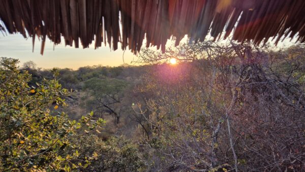 Alba in Tanzania