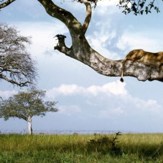 Uganda, Parco Nazionale