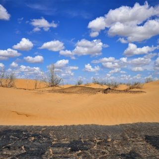 Uzbekistan, deserto del Kyzylkum