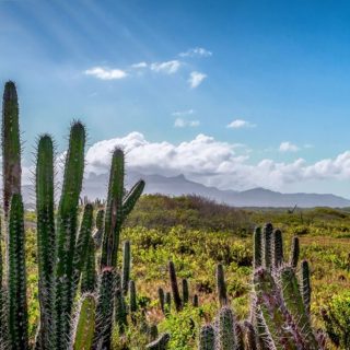 Venezuela, panorama